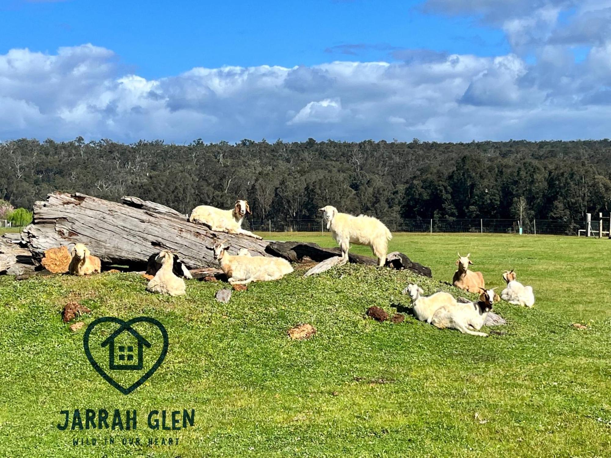 Jarrah Glen Cabins Nannup Exteriör bild